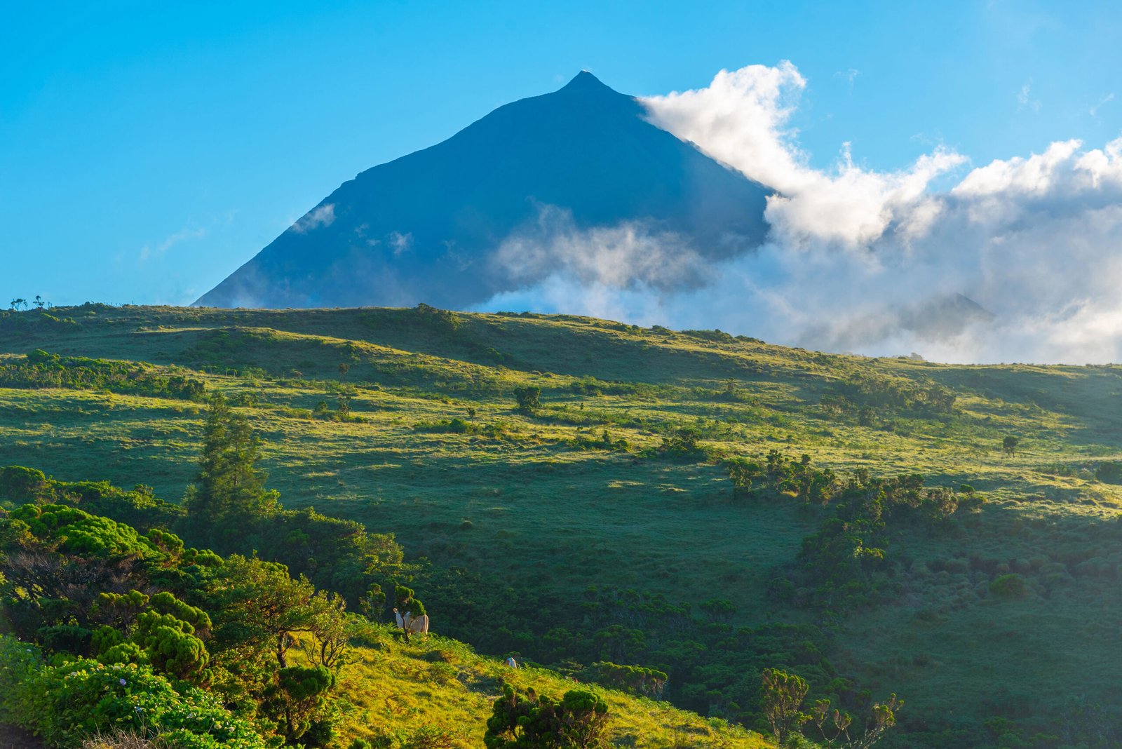 Pico-mountain-azores Pico-mountain-azores